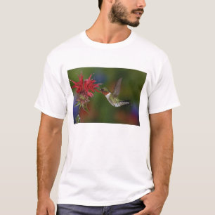 Male Ruby-throated Hummingbird T-Shirt