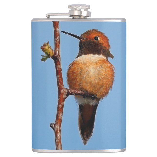 Male Rufous Hummingbird in the Spotlight Hip Flask (Front)