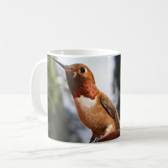 Male Rufous Hummingbird - Mugs (Front Left)