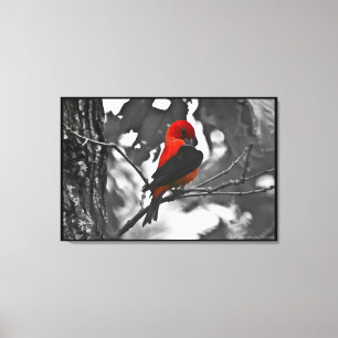 Male Scarlet Tanager Canvas Print