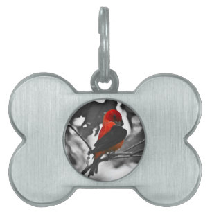 Male Scarlet Tanager Pet Name Tag