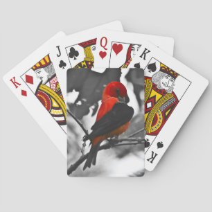 Male Scarlet Tanager Playing Cards