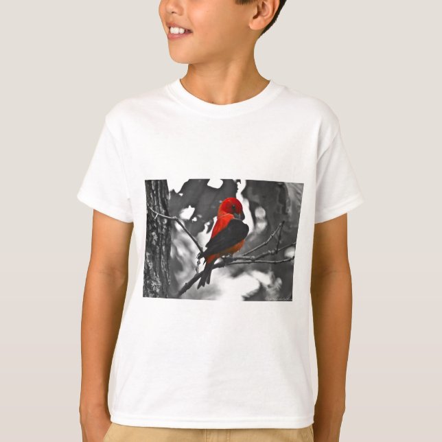 Male Scarlet Tanager T-Shirt (Front)