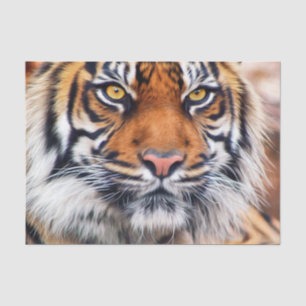 Male Siberian Tiger Paint Photograph Tissue Paper