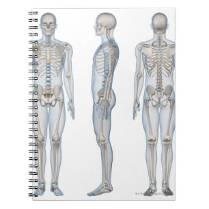 Male Skeleton 2 Notebook