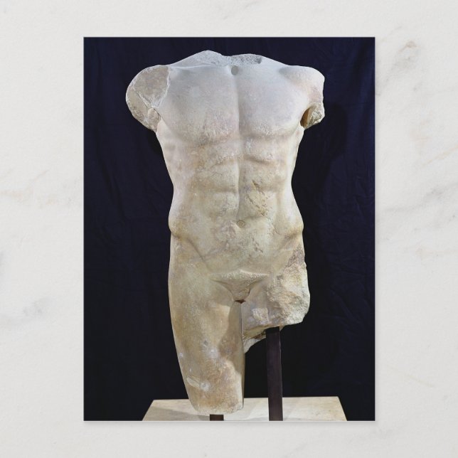 Male torso from Miletus, c.480 BC Postcard (Front)