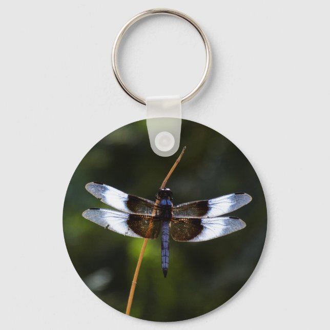 Male Widow Skimmer Dragonfly  Key Ring (Front)