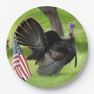 Male Wild Turkey With American Flag Paper Plate