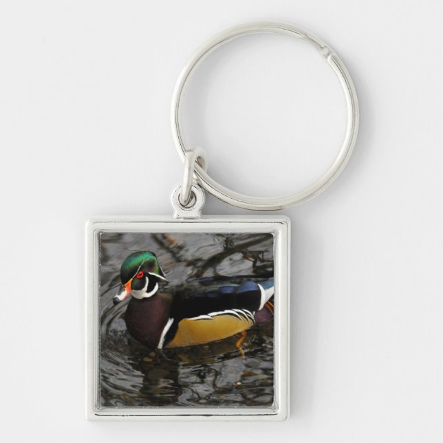 Male Wood Duck At Crystal Springs Rhododendron Key Ring (Front)