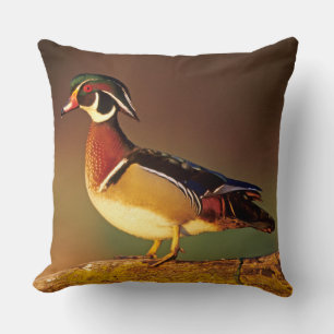 Male wood duck, Illinois Cushion