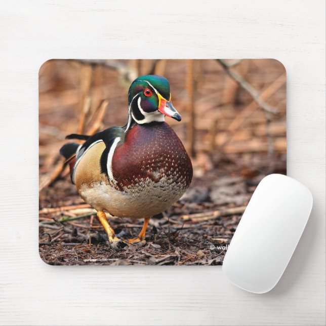 Male Wood Duck in the Woods Mouse Pad (With Mouse)