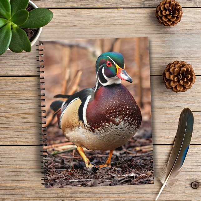 Male Wood Duck in the Woods Spiral Notebook (Wood Duck in the Woods Journal Cover Photo)