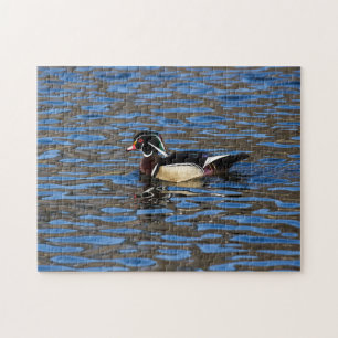 Male Wood Duck Jigsaw Puzzle