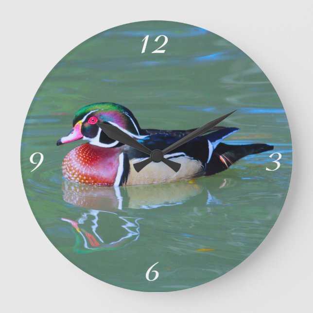 Male Wood Duck on pond Large Clock (Front)