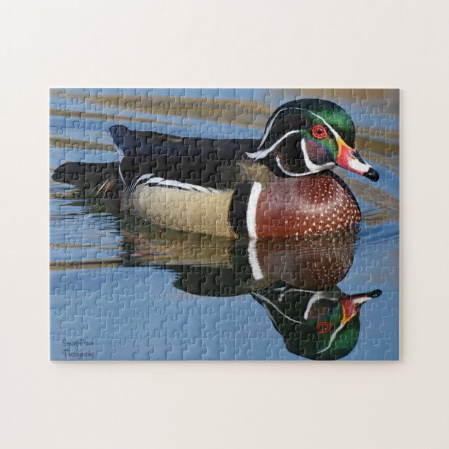 Male Wood Duck Reflection  Jigsaw Puzzle (Horizontal)