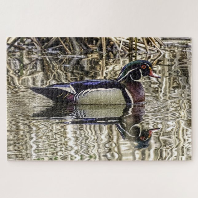 Male wood duck swimming in pond jigsaw puzzle (Horizontal)