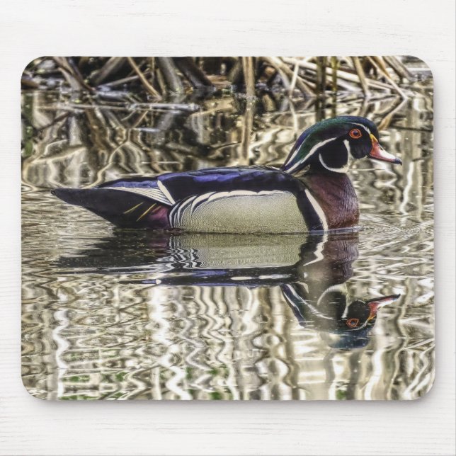 Male wood duck swimming in pond mouse pad (Front)