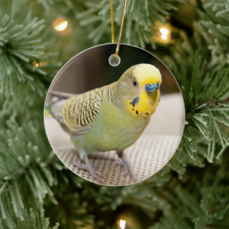 Male Yellow and Green Parakeet Ceramic Tree Decoration