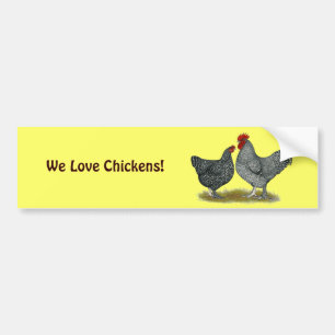 Maline Chickens Bumper Sticker