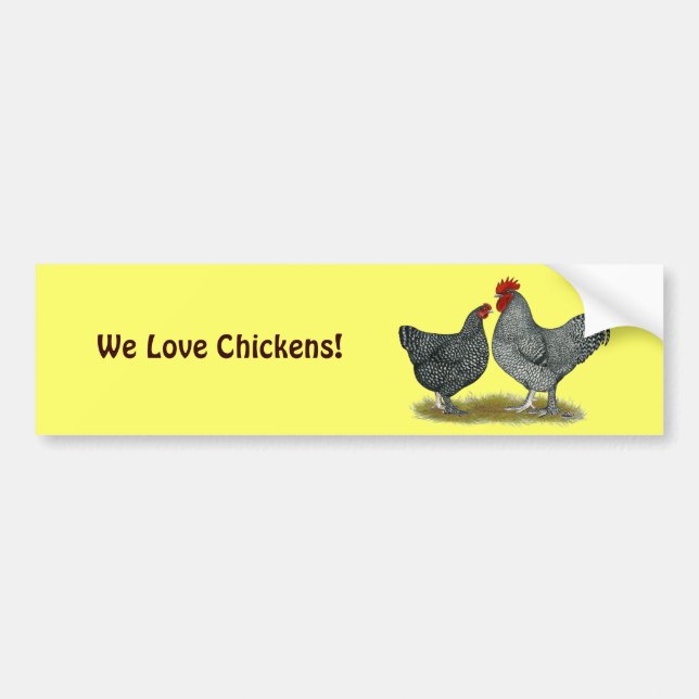 Maline Chickens Bumper Sticker (Front)