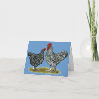 Maline Chickens Card