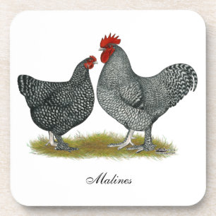 Maline Chickens Coaster