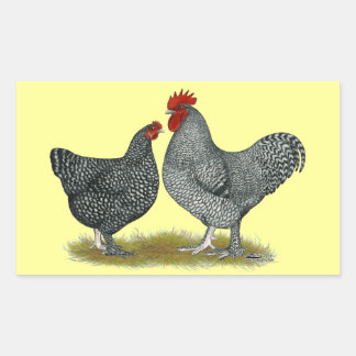Maline Chickens Rectangular Sticker
