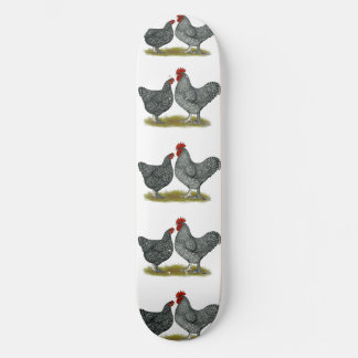Maline Chickens Skateboard