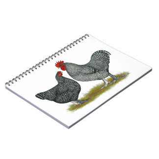 Maline Chickens Spiral Notebook