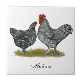 Maline Chickens Tile