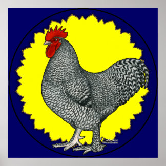 Maline Rooster Poster
