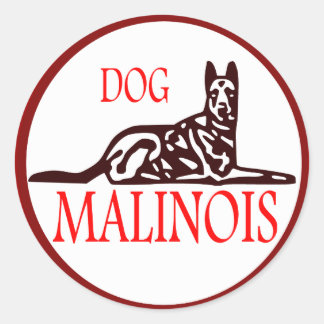 Malinese Dog sticker