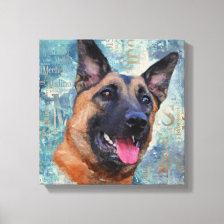 Malinois  - Belgian shepherd - Mechelaar Canvas Print