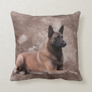 Malinois Belgian shepherd - Mechelaar Cushion
