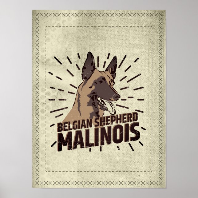Malinois - Belgian shepherd -Mechelaar -Maligator Poster (Front)