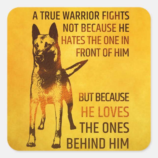 Malinois - Belgian shepherd -Mechelaar -Maligator Square Sticker (Front)