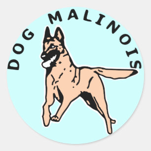 malinois courrant classic round sticker