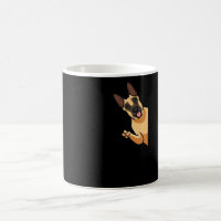 Malinois Dog Belgian Shepherd Dog