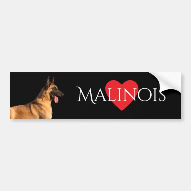 Malinois Dog Bumper Sticker (Front)