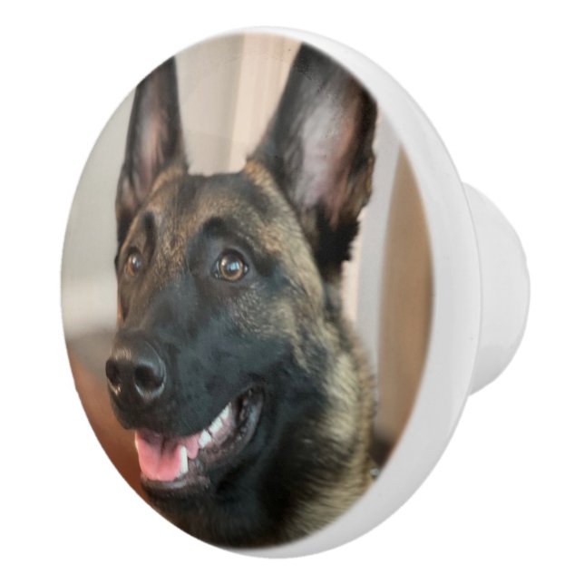 Malinois Dog Ceramic Knob (Right)