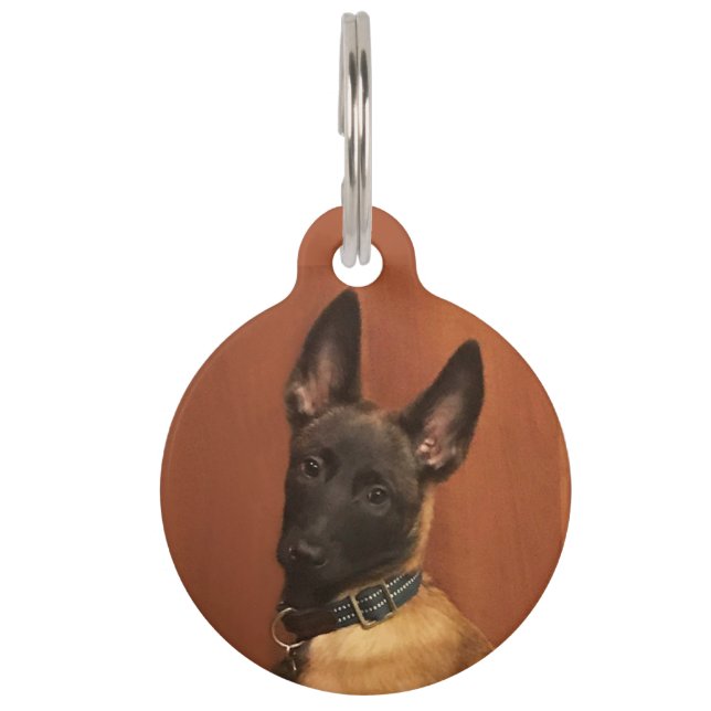 Malinois Dog Pet Tag (Front)