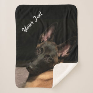 Malinois Dog Sherpa Blanket