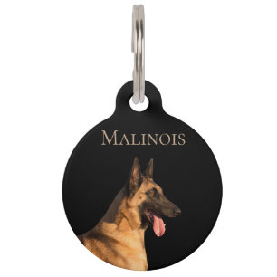 Malinois Pet Tag