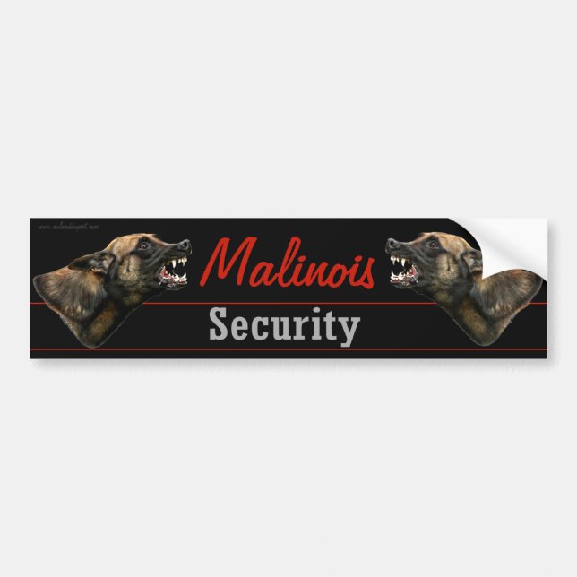 Malinois Security bumper sticker (Front)