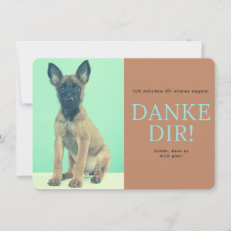 malinois thank you card