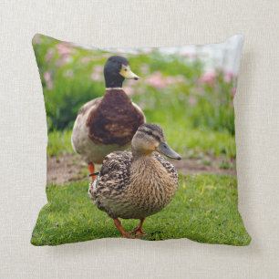 Mallard 116 cushion