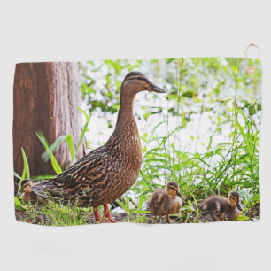 Mallard and Ducklings by Shirley Taylor Golf Towel