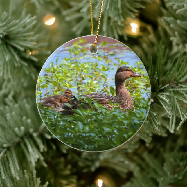 Mallard and Ducklings-Swimming by Shirley Taylor Ceramic Tree Decoration (Tree)