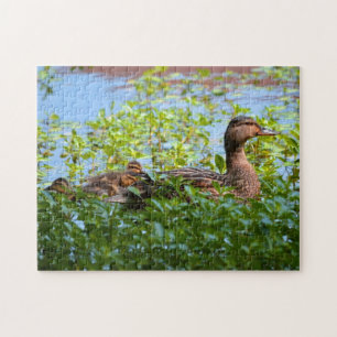 Mallard and Ducklings-Swimming by Shirley Taylor Jigsaw Puzzle