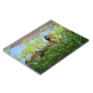 Mallard and Ducklings-Swimming by Shirley Taylor Notebook